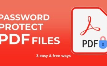 What Is a PDF File? A Complete Guide to the Format, Its History, and How to Use It